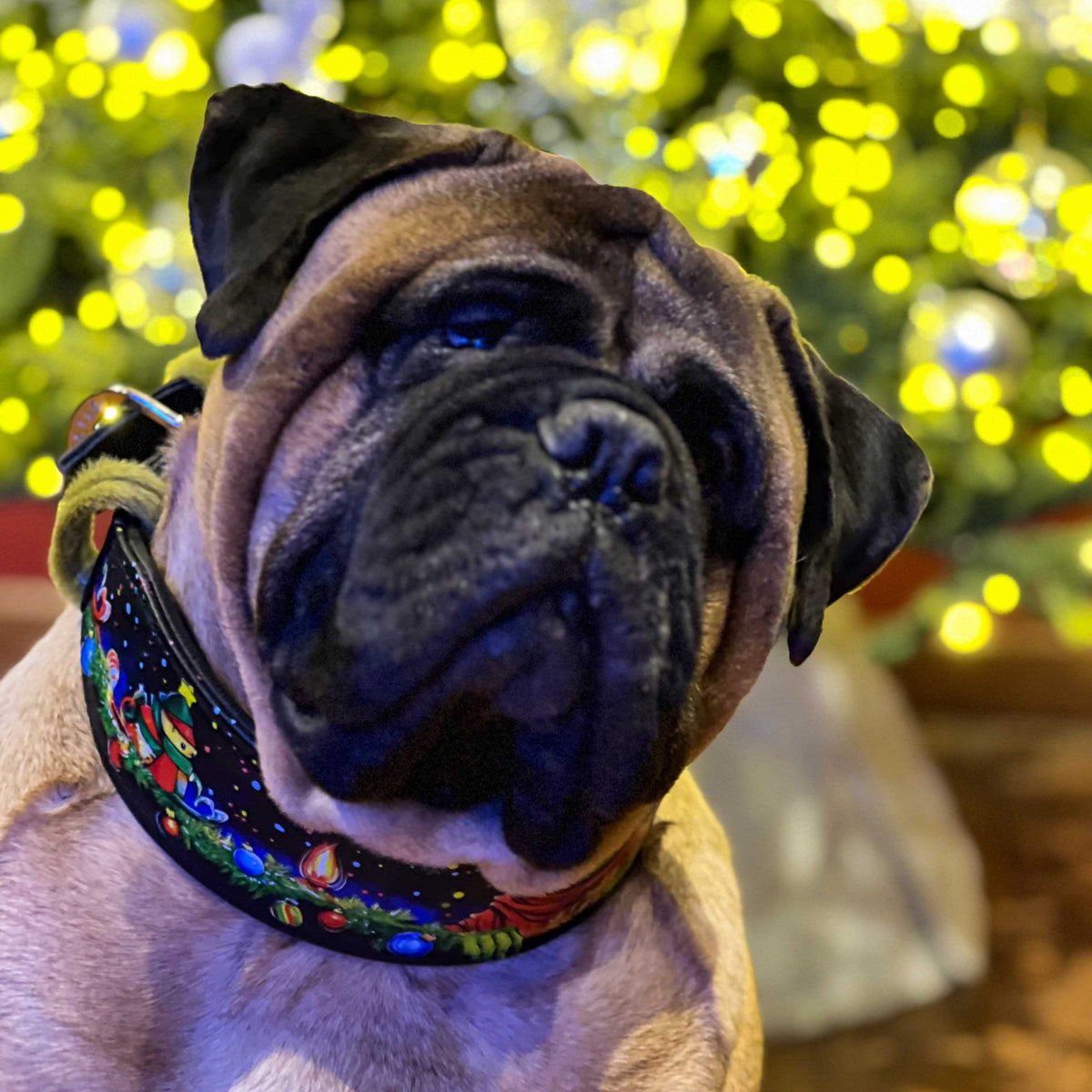 Bestia Grinchmas Leather Dog Collar – Limited Edition