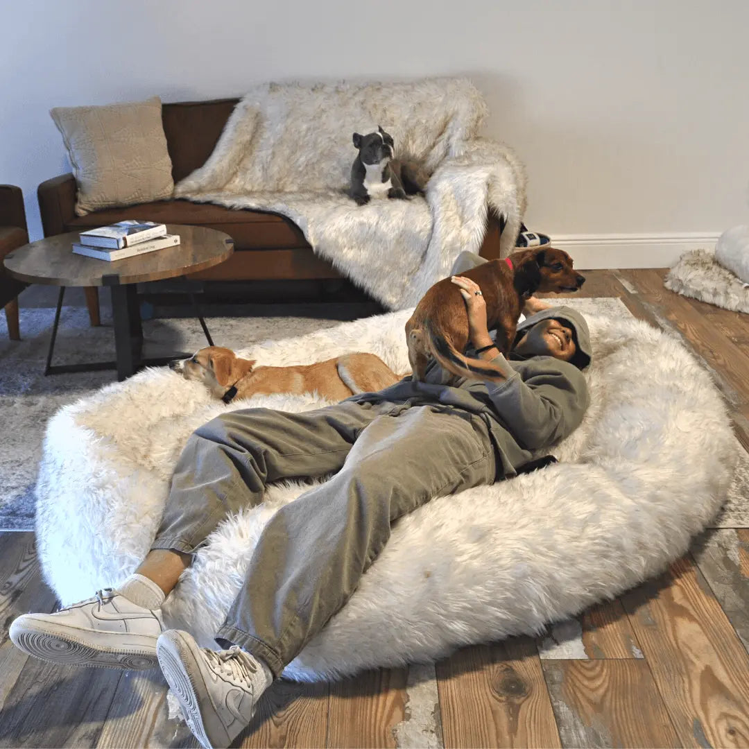 PupCloud™ Human-Size Faux Fur Memory Foam Dog Bed - White with Brown Accents Paw.com