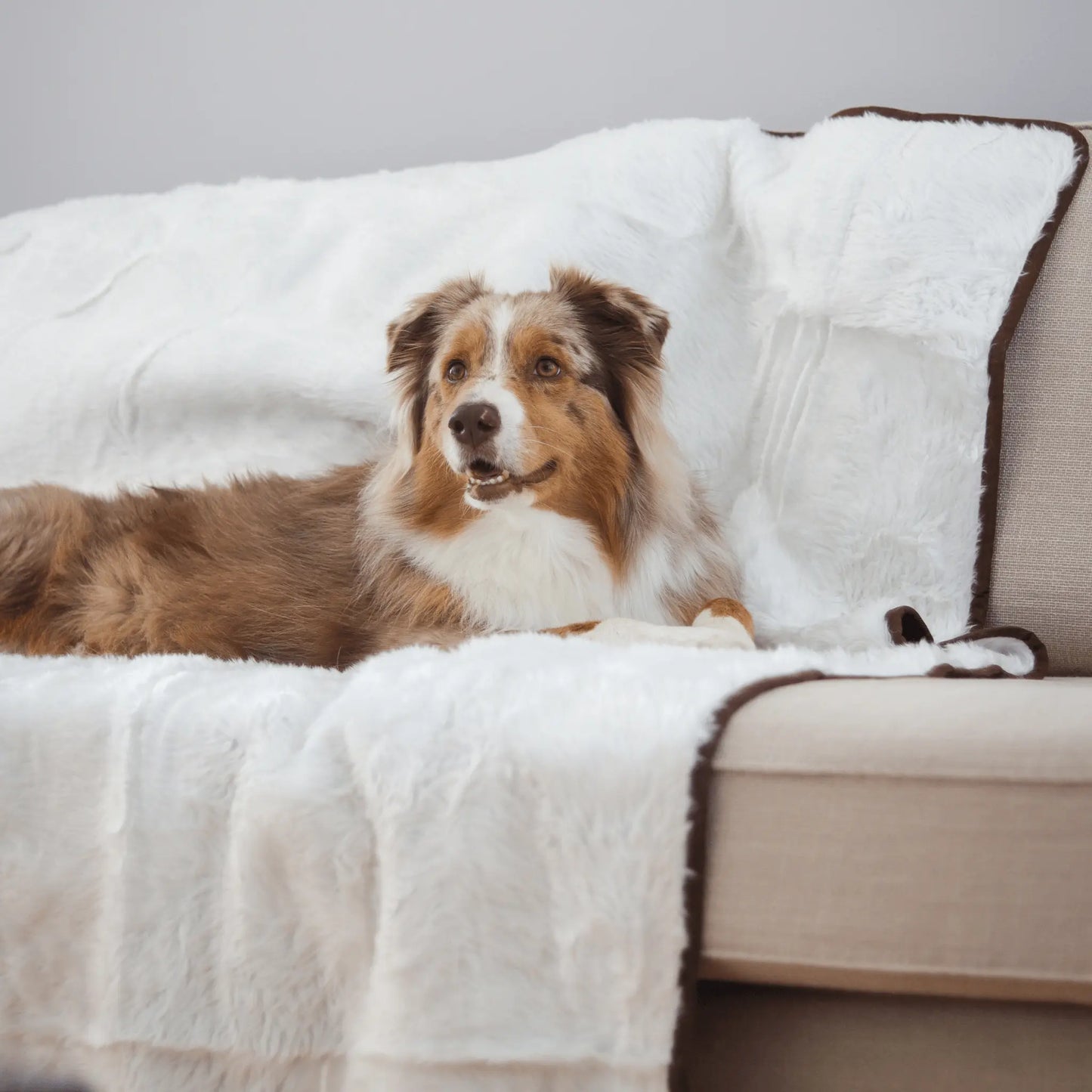 PupProtector™ Summer Short Fur Waterproof Throw Blanket - Polar White Paw.com