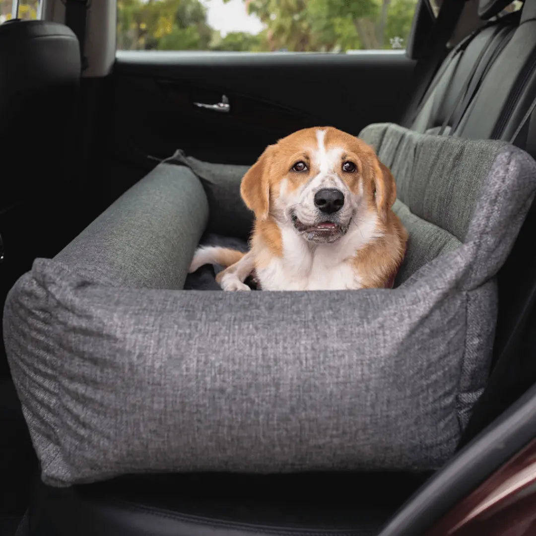 PupProtector™ Memory Foam Dog Car Bed Paw.com