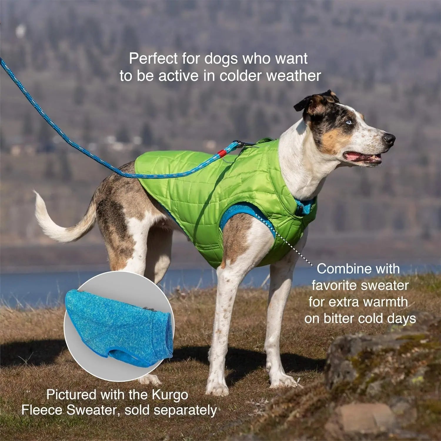 Loft Jacket, Reversible Dog Coat, Dog Coat for Cold Weather, Water-Resistant Dog Jacket with Reflective Trim, Black/Yellow, Medium
