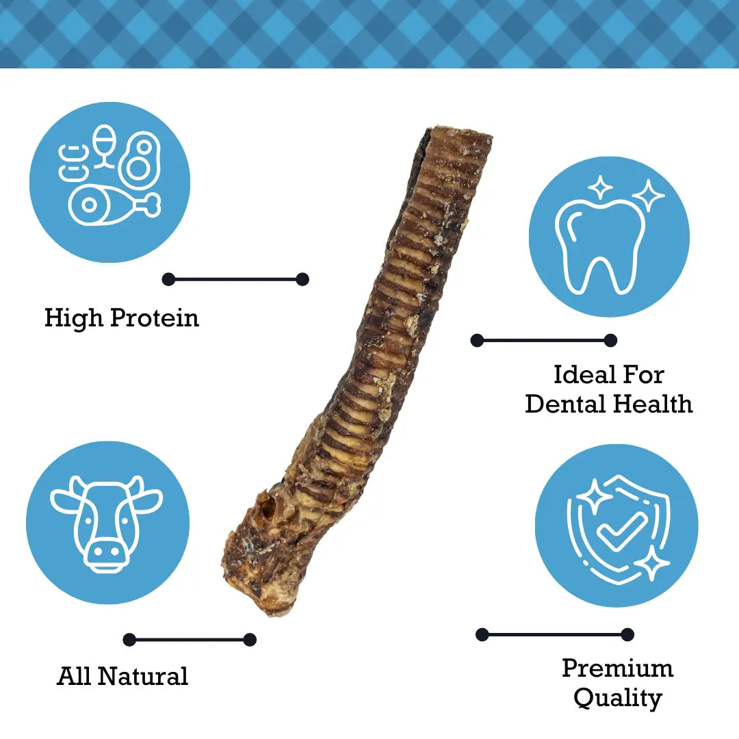 Country Living All-Natural Beef Trachea Dog Treats, Protein-Packed Chews – 12 Inches (5-Pack) American Pet Supplies
