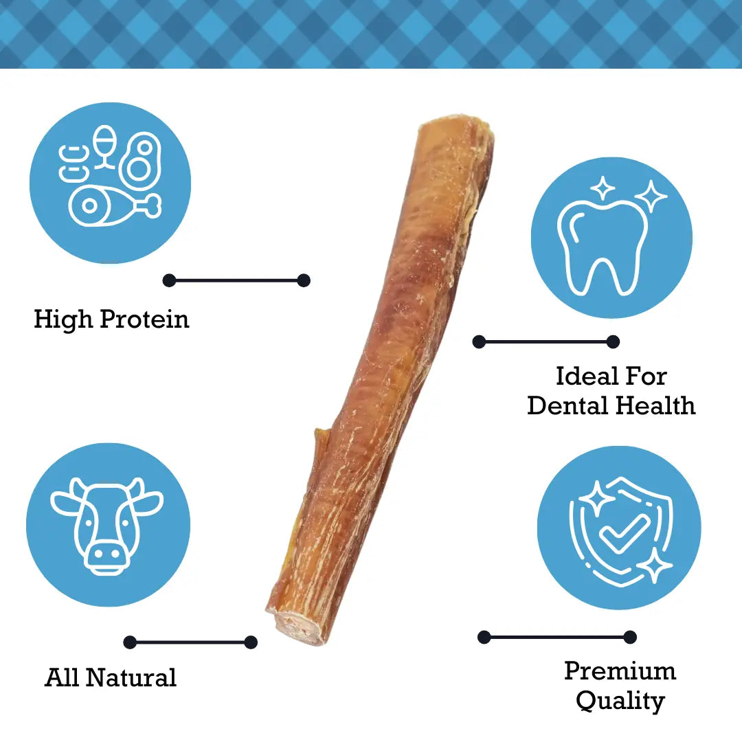 Country Living All-Natural Bully Sticks, High-Protein Dog Treats – 12-Inch Standard (10-Pack) American Pet Supplies