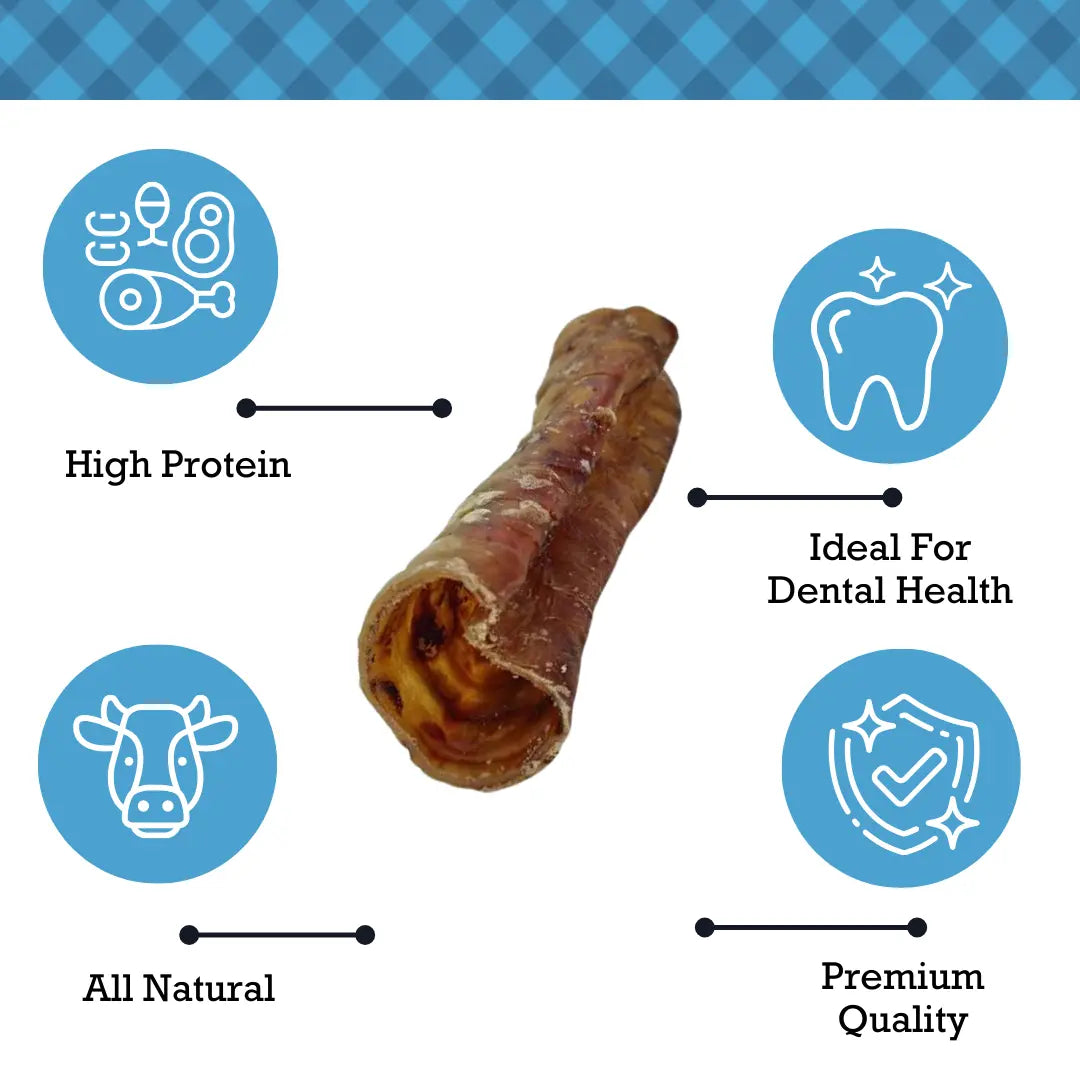 Country Living All-Natural Beef Trachea Dog Treats, Protein-Packed Chews – 6 Inches (5-Pack) American Pet Supplies