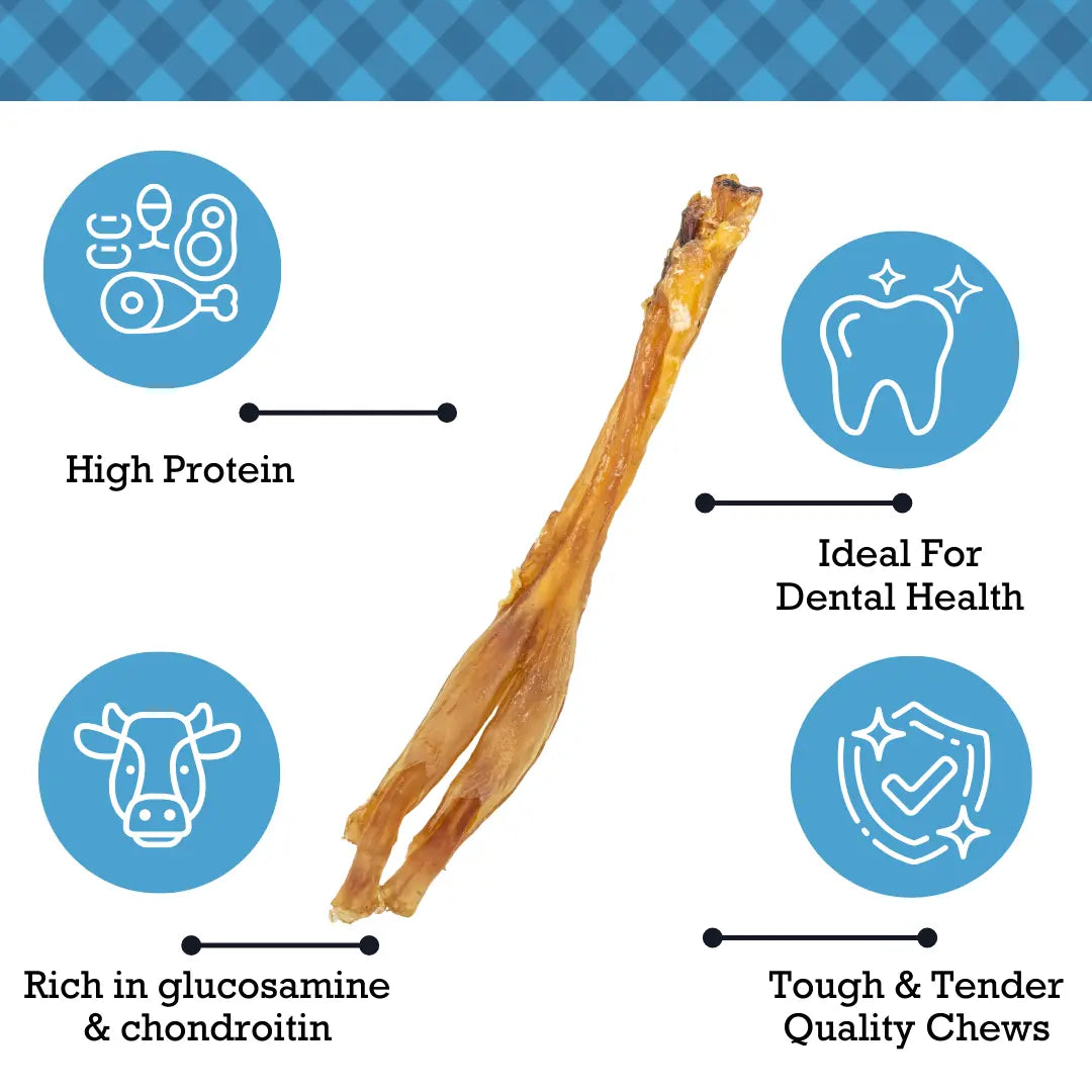 All-Natural Beef Y Tendon Dog Treats – High-Protein, Low-Fat Chews – Jumbo (10-Pack) American Pet Supplies