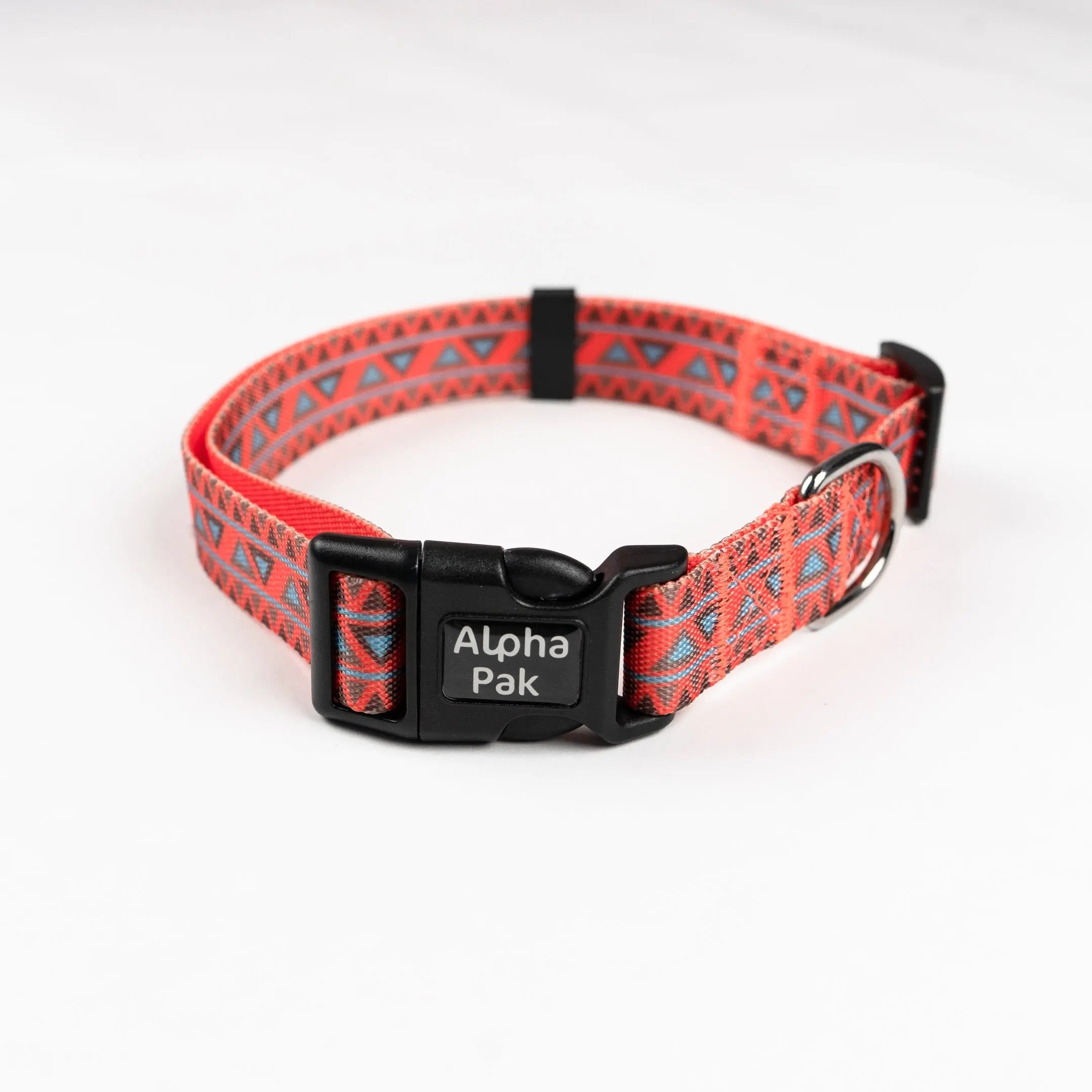 Everyday Adventure Dog Collar