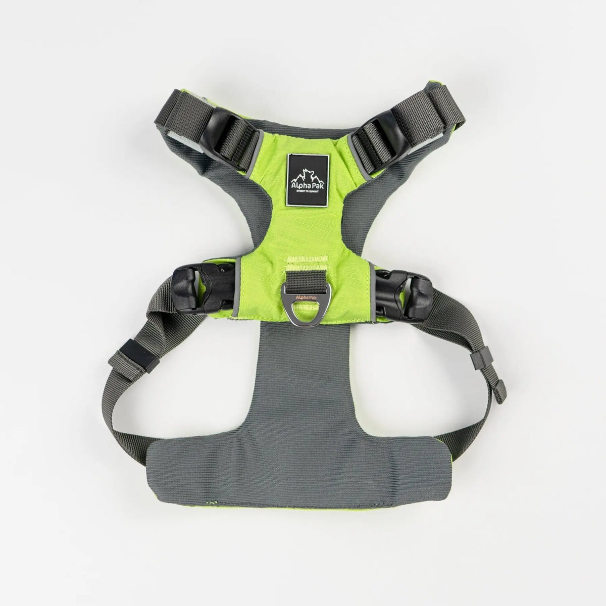 Everyday Adventure Dog Harness