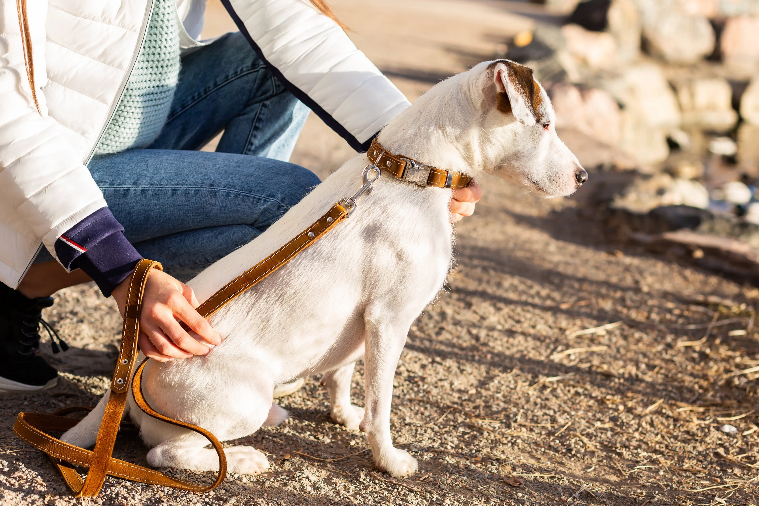 Traditional Earth Brown Leather Dog Leash Euro-Dog Collars and Leads