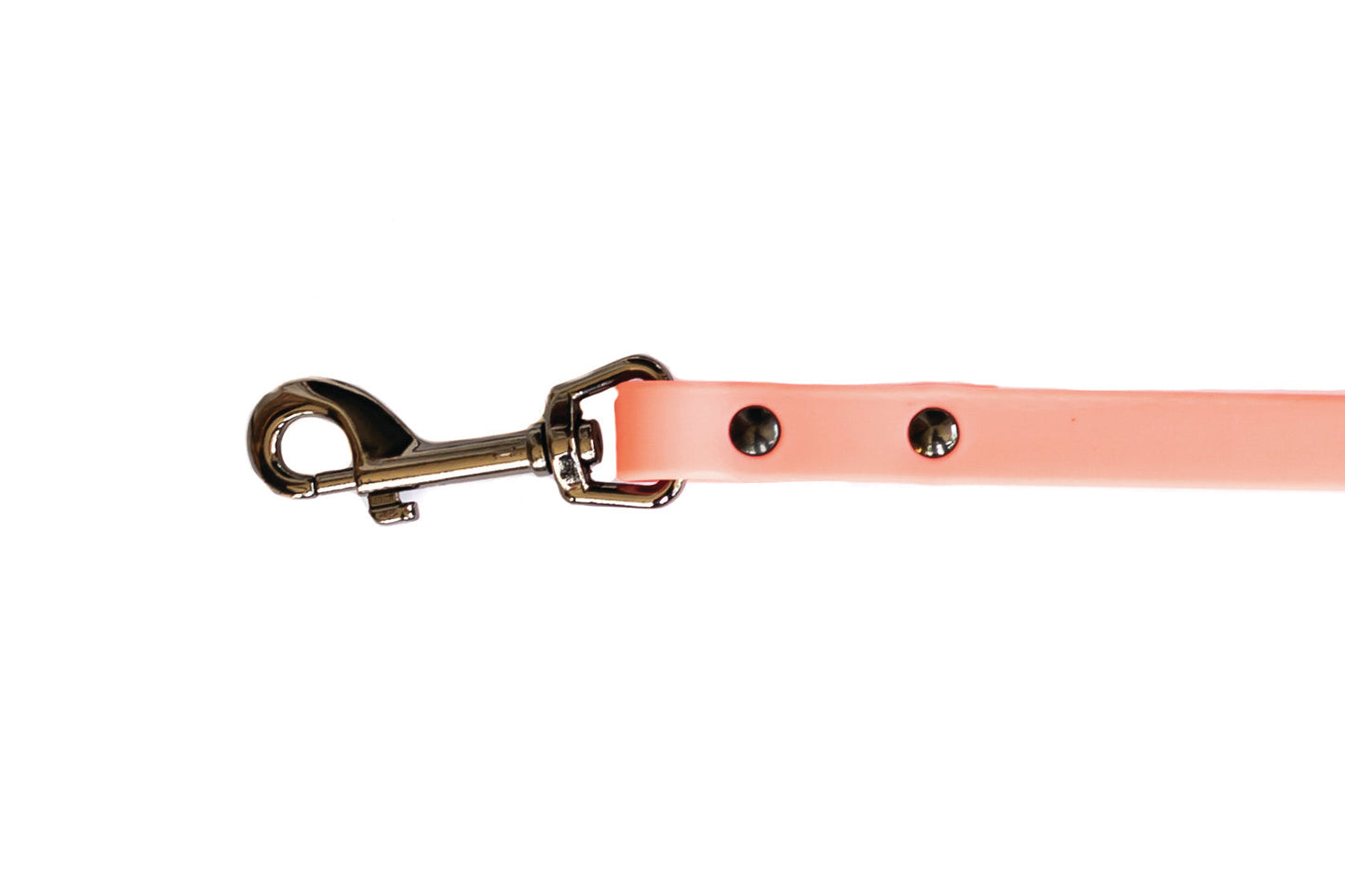 Waterproof Coral Reef Super Soft PVC Dog Leash Euro-Dog Collars and Leads