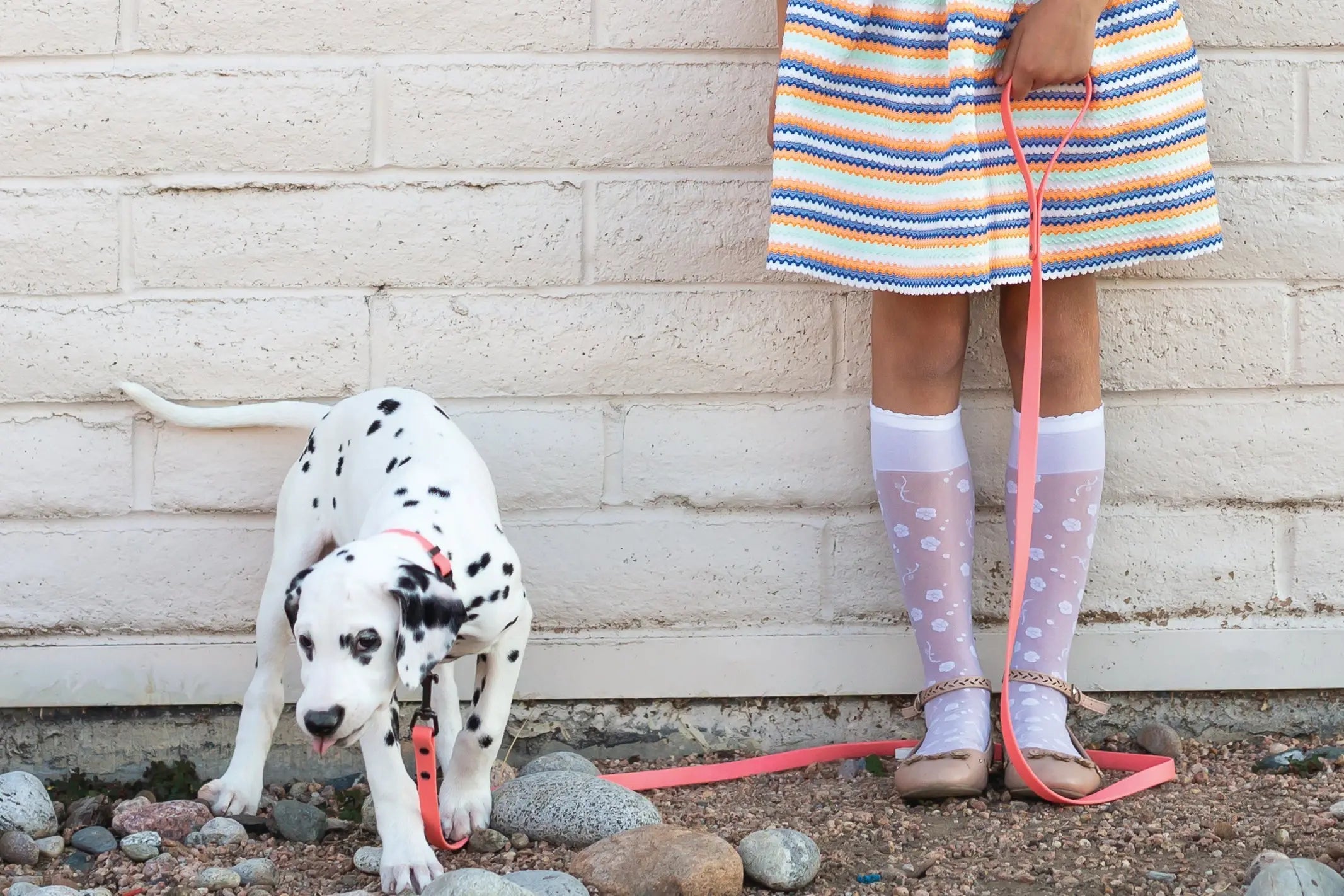 Waterproof Coral Reef Super Soft PVC Dog Leash Euro-Dog Collars and Leads