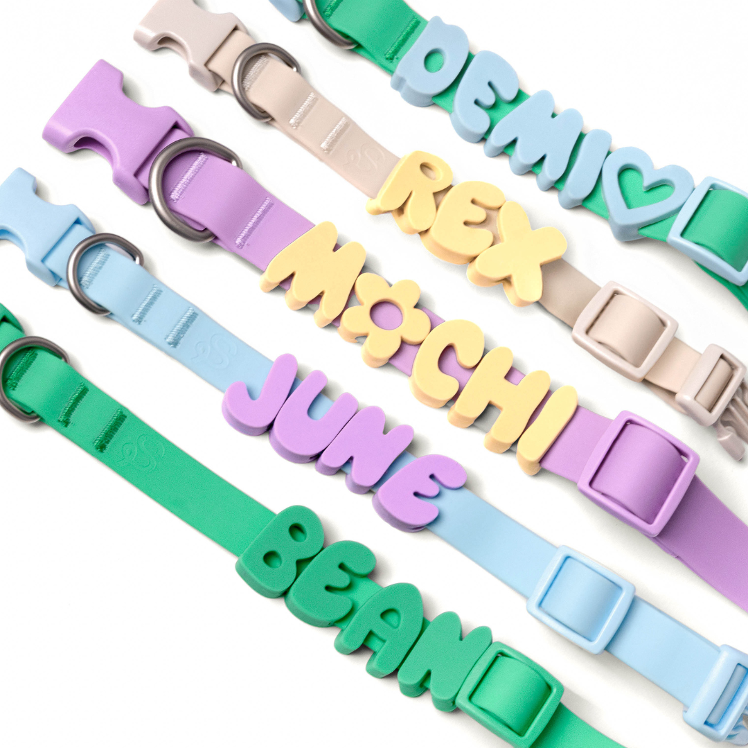 Waterproof Dog Collar