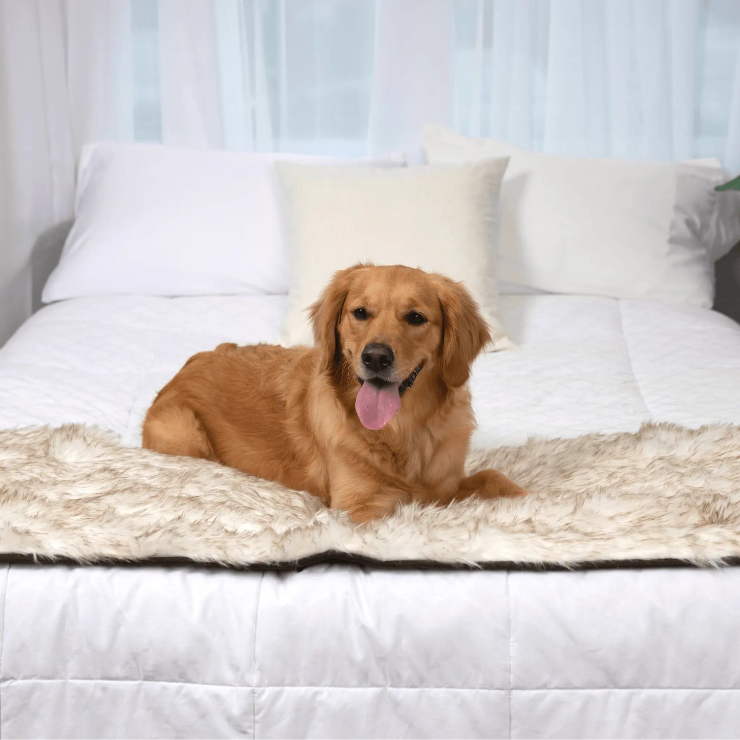 PupProtector™ Waterproof Bed Runner - White with Brown Accents Paw.com