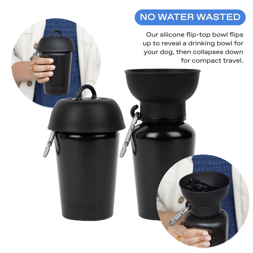 20oz Flip Travel Dog Water Bottle