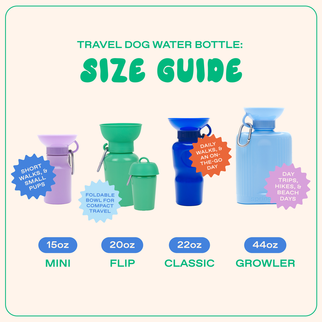 20oz Flip Travel Dog Water Bottle