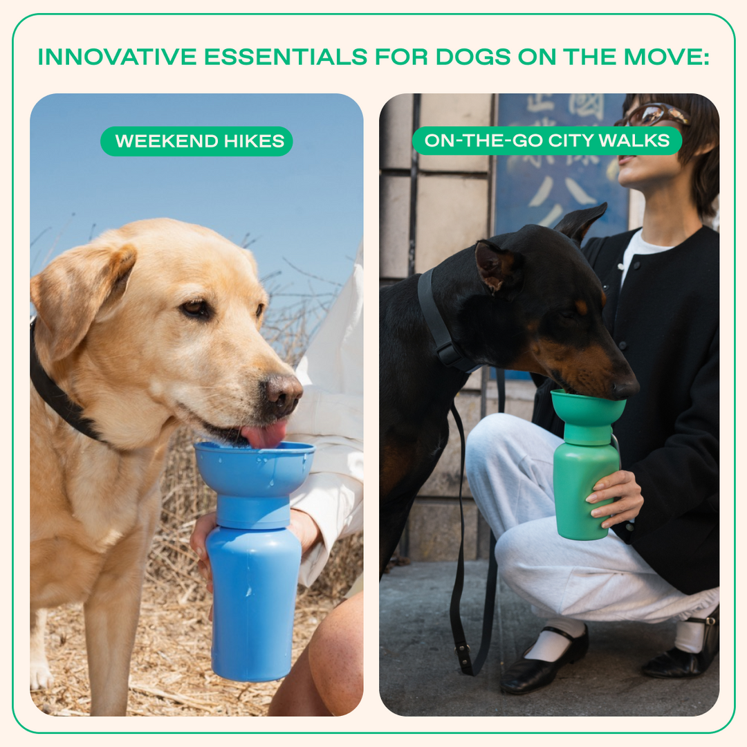 20oz Flip Travel Dog Water Bottle