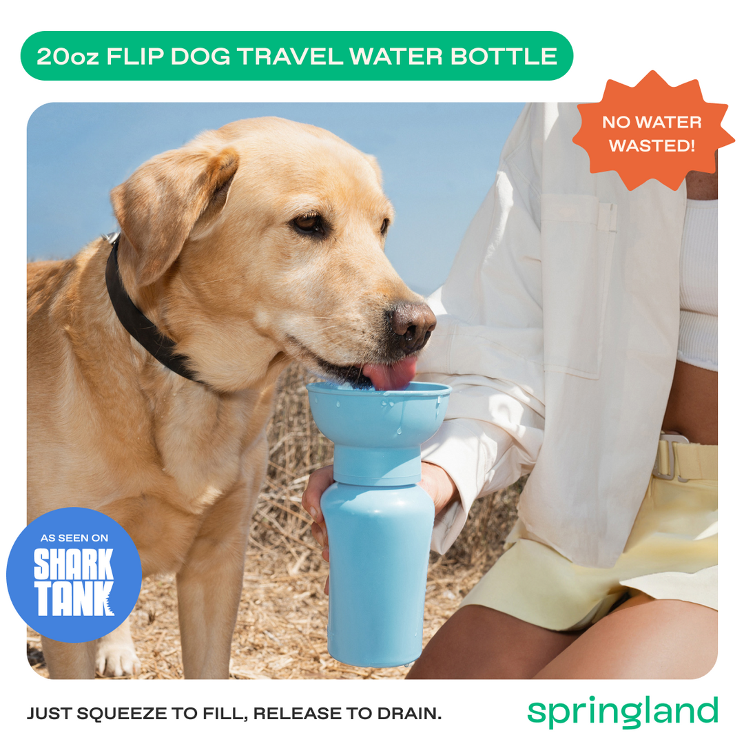 20oz Flip Travel Dog Water Bottle