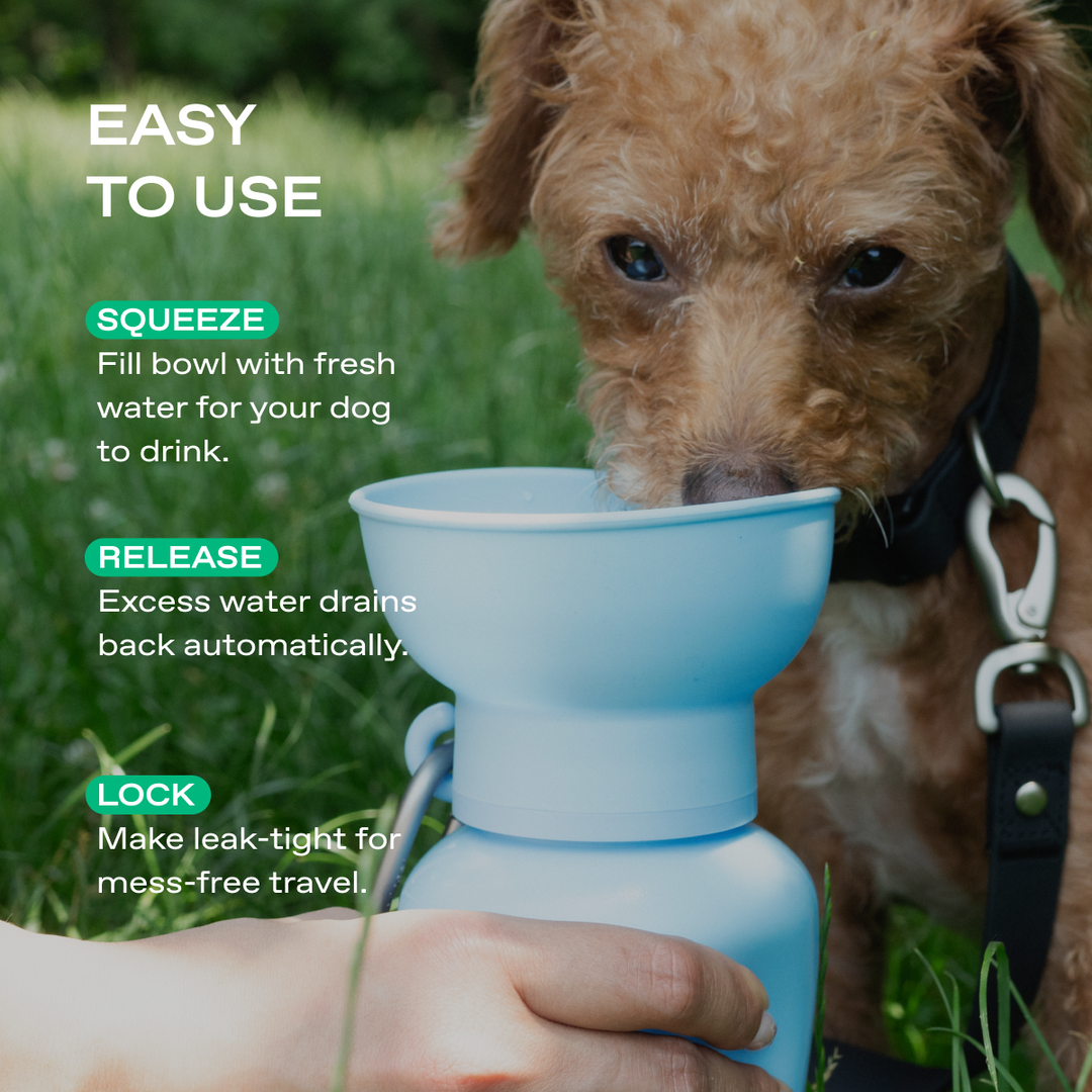 20oz Flip Travel Dog Water Bottle