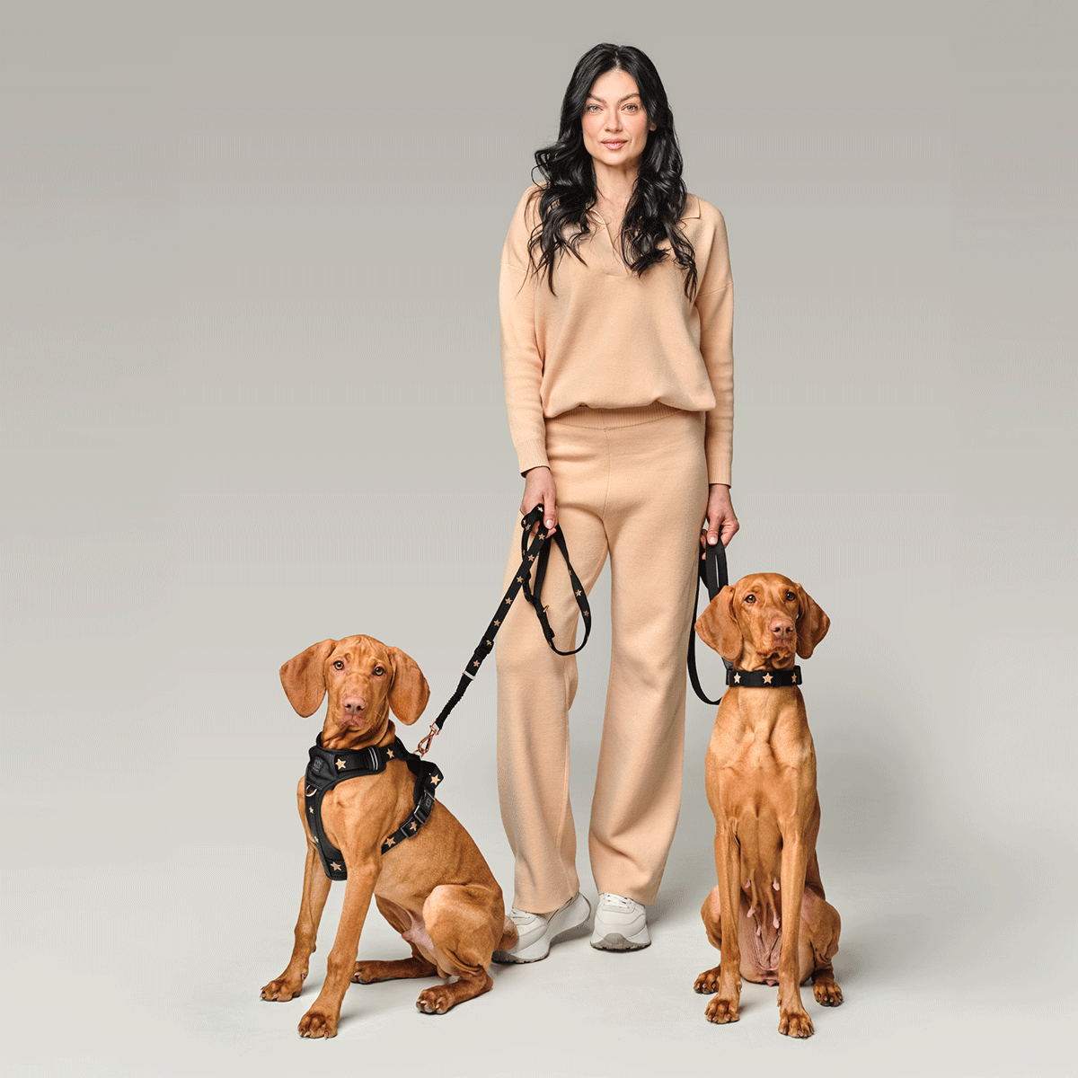 3-in-1 City Dog Leash - Rockstar