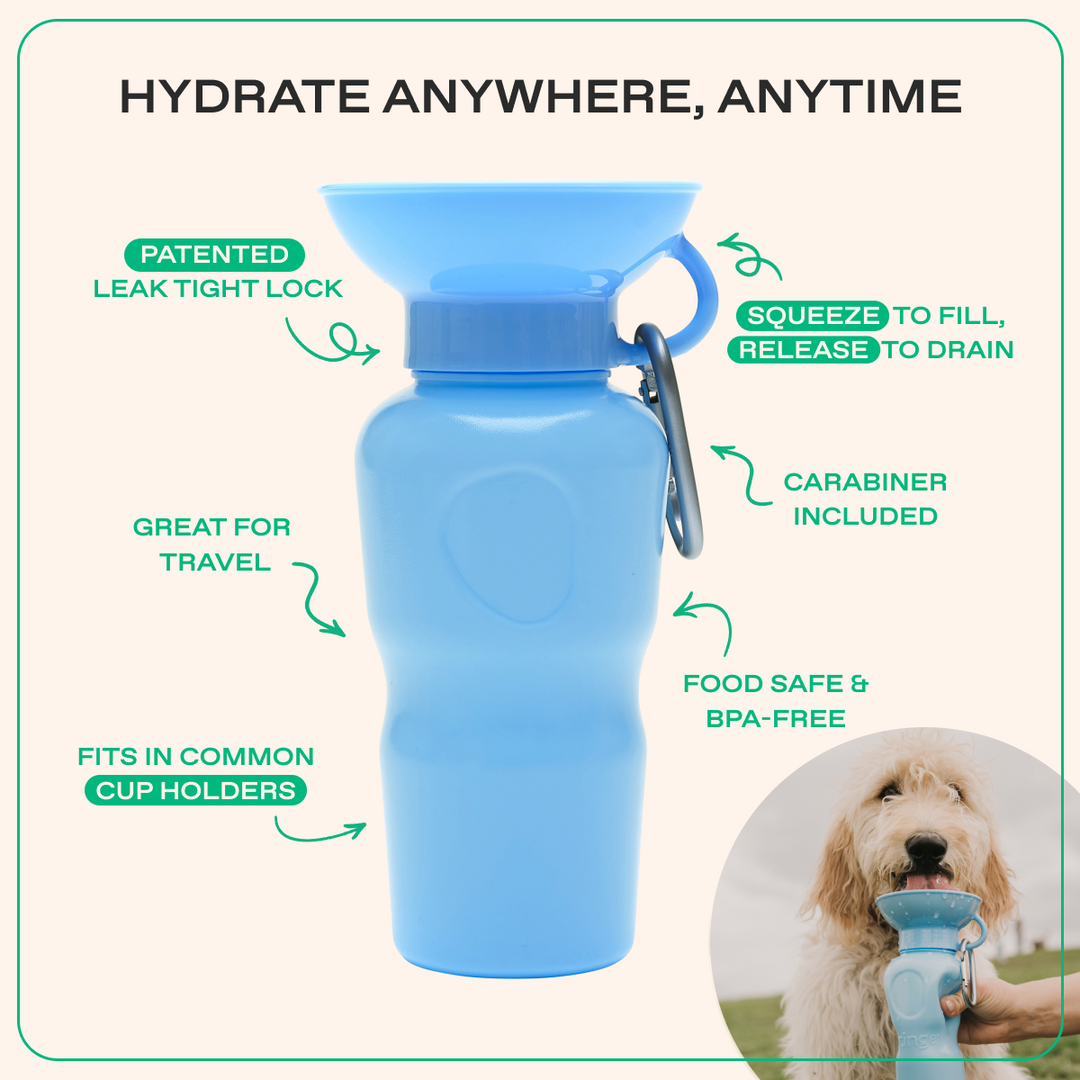 22oz Original Travel Dog Water Bottle