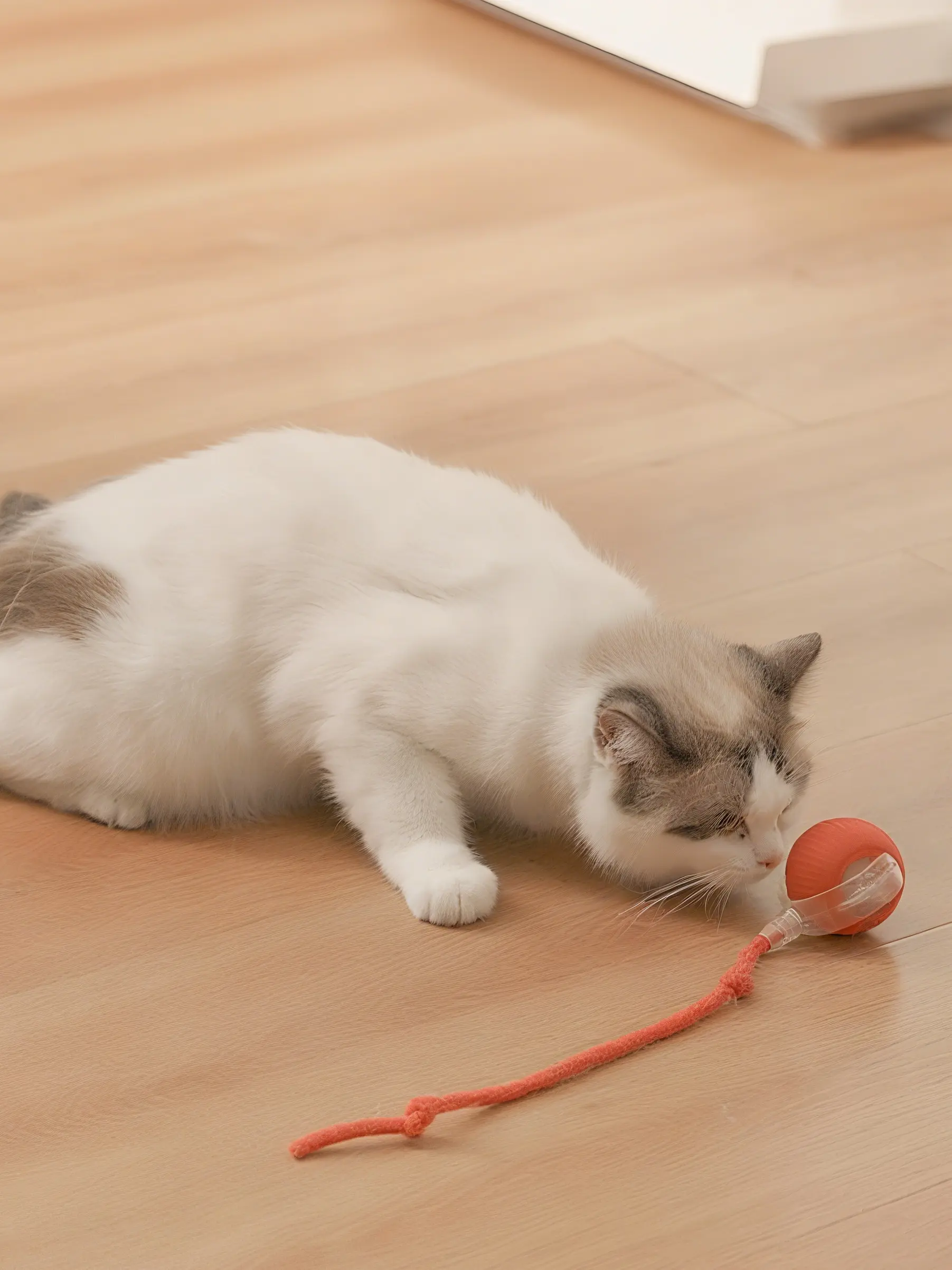 Milou & Lumi Smart Interactive Cat Toy Ball Dr. Milou