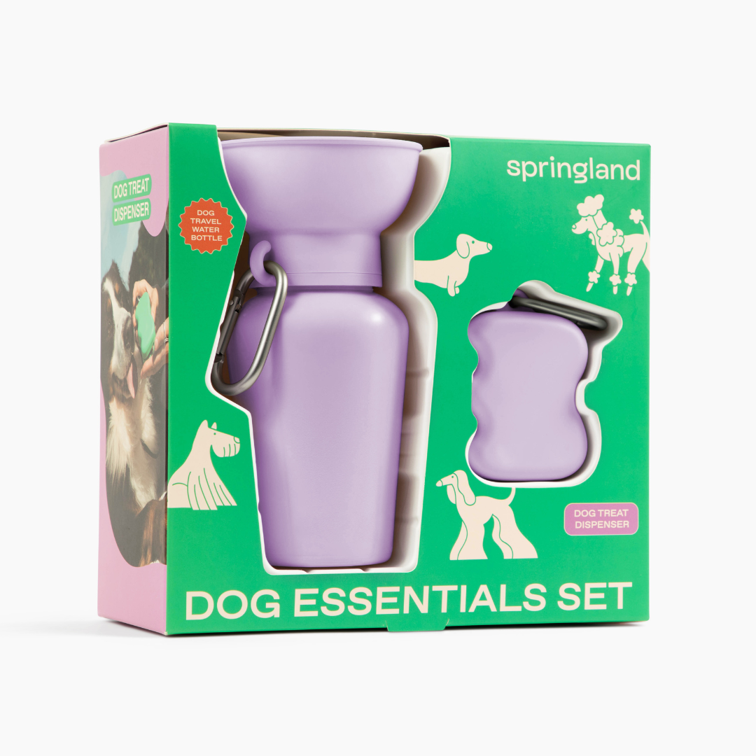 Dog Essentials Gift Box Set