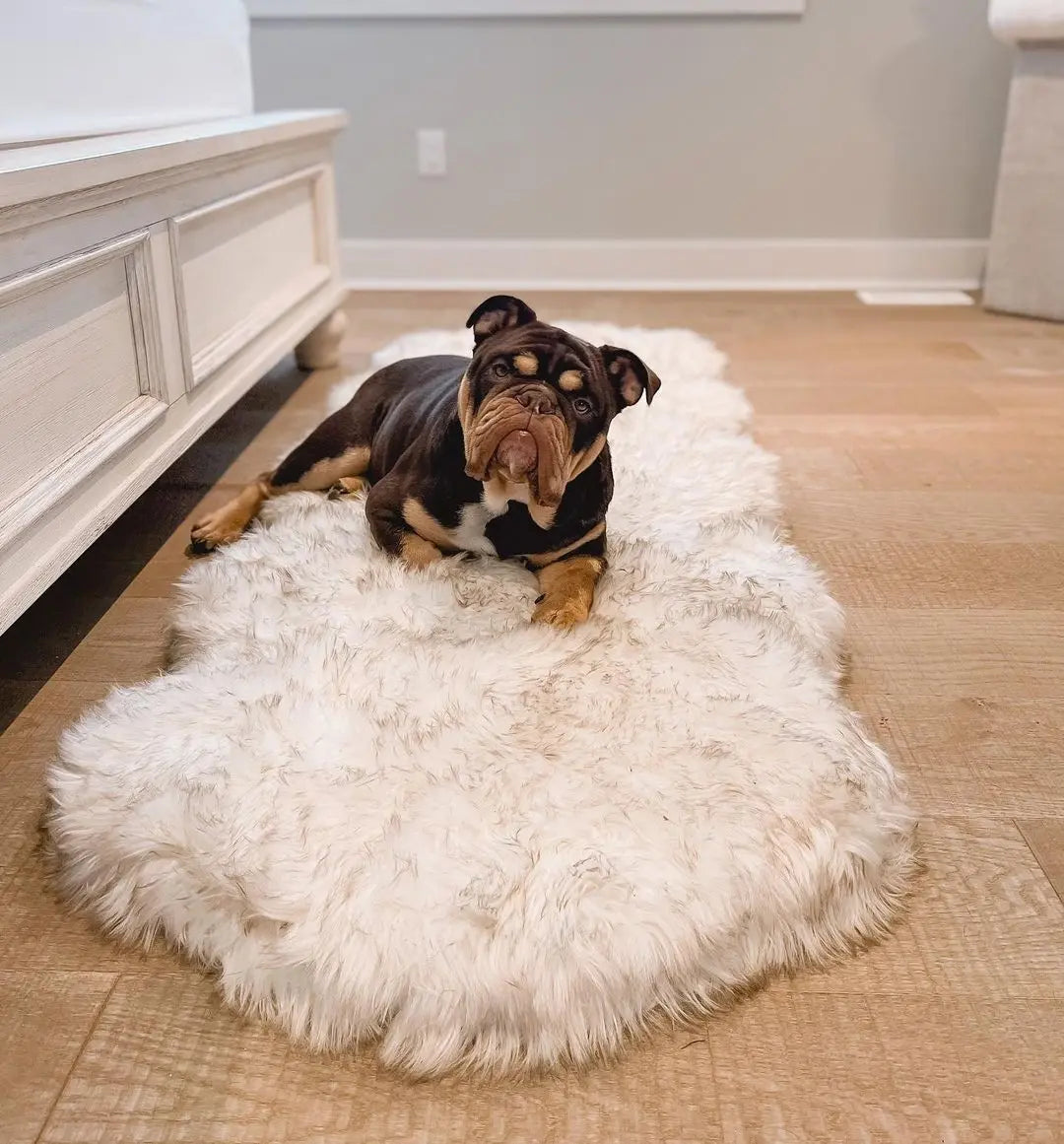 PupRug™ Runner Faux Fur Memory Foam Dog Bed - Curve White with Brown Accents Paw.com