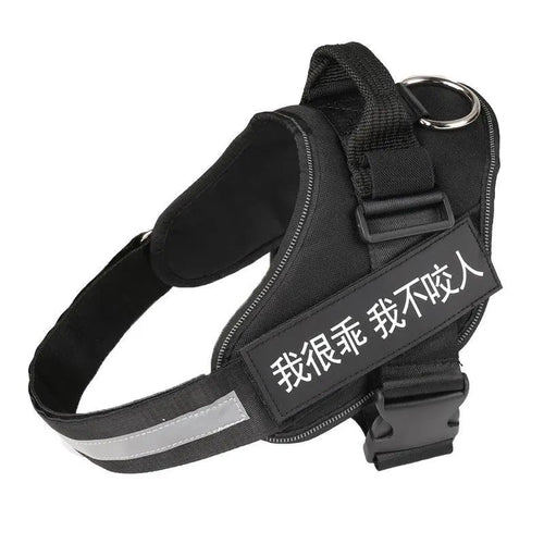 Ultimate Pet Adventure Set: Adjustable Chest Harness With Dog Leash