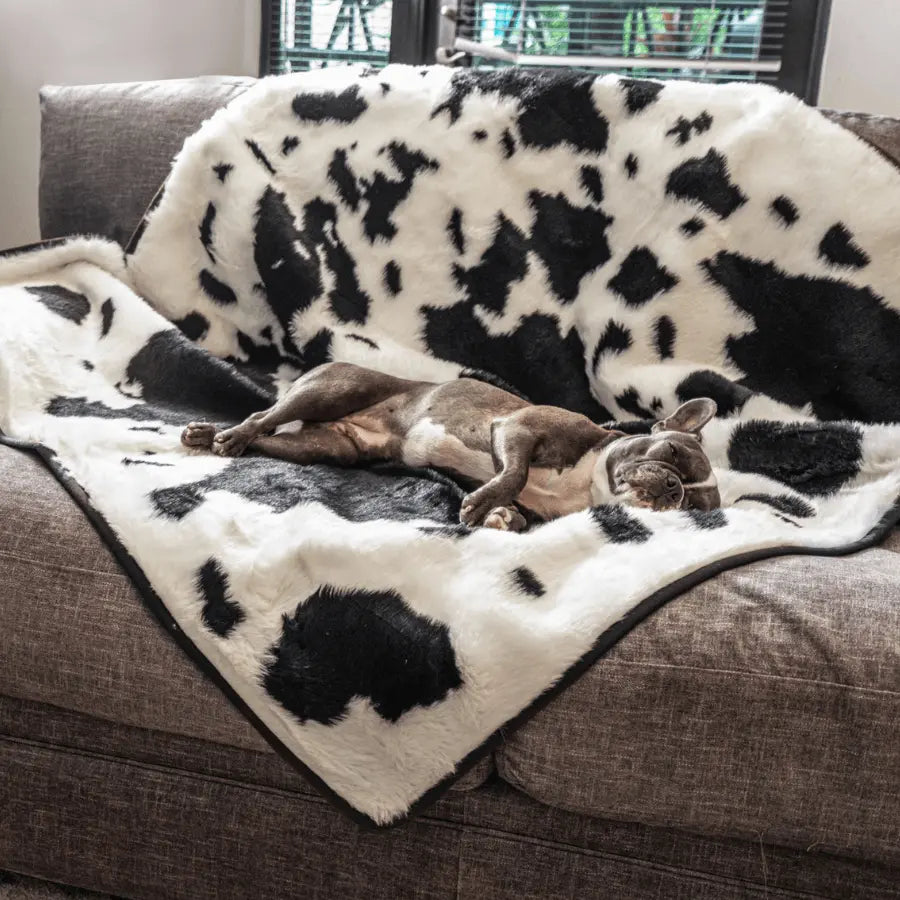 PupProtector™ Waterproof Throw Blanket - Black Faux Cowhide Paw.com