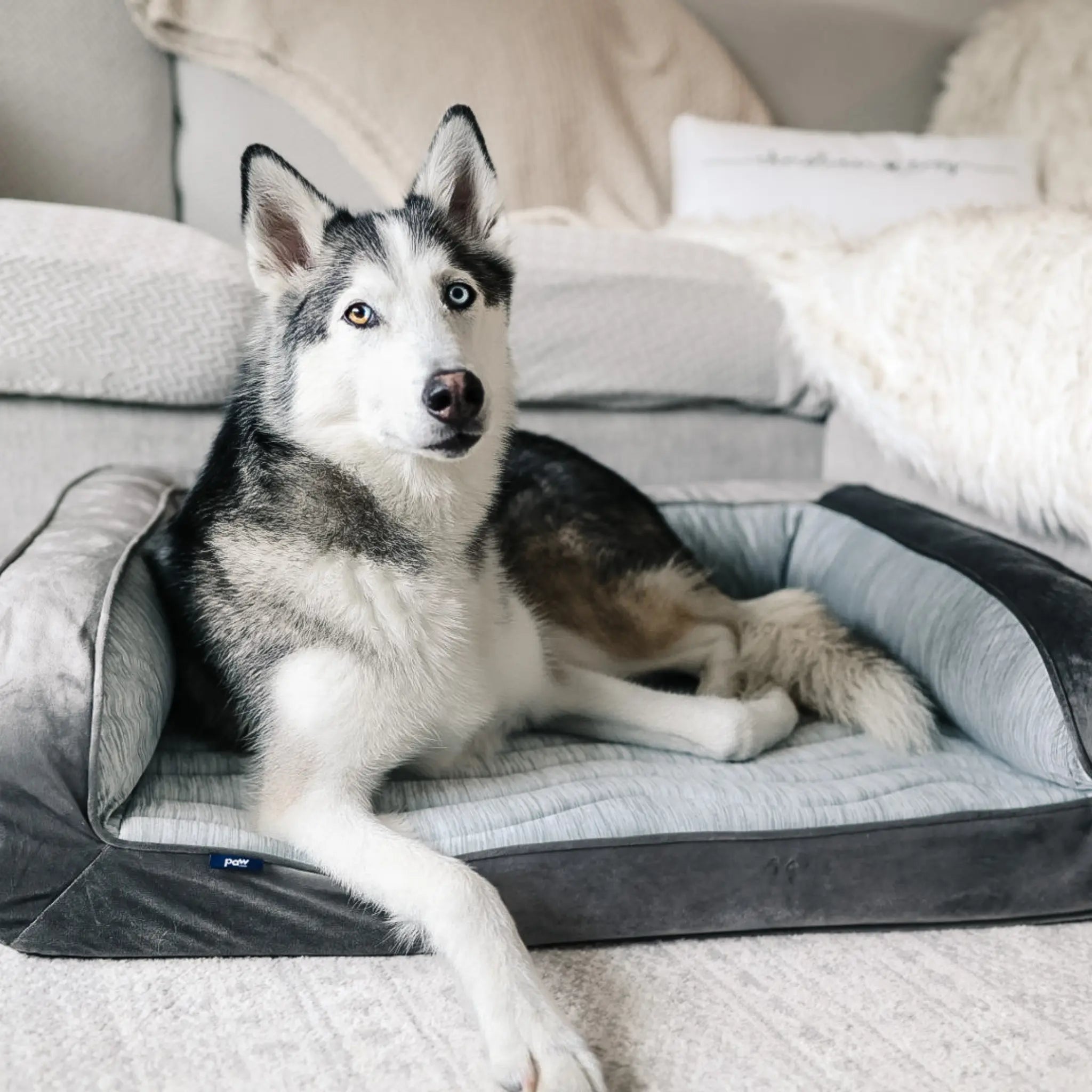 PupChill™ Cooling Bolster Dog Bed Paw.com