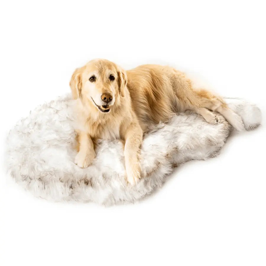 PupRug by Paw.com™ Faux Fur Orthopedic Dog Bed - Curve White with Brown Accents Paw.com