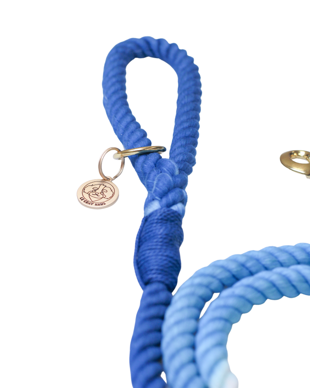 Ombre Rope Leashes