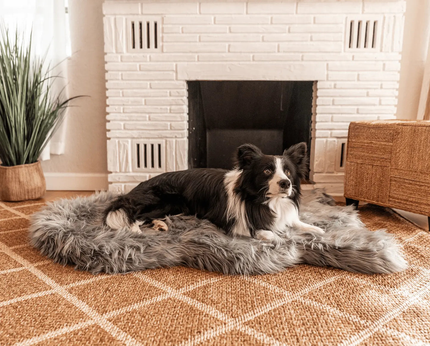 PupRug by Paw.com™ Faux Fur Orthopedic Dog Bed - Curve Charcoal Grey Paw.com
