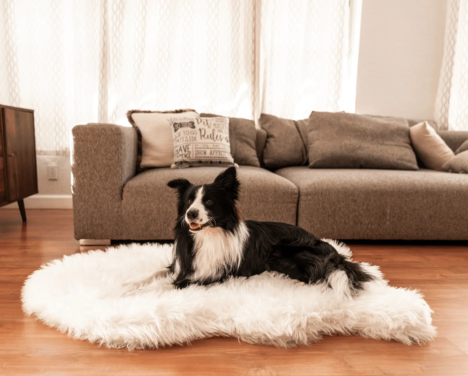 PupRug by Paw.com® Faux Fur Orthopedic Dog Bed - Curve Polar White Paw.com
