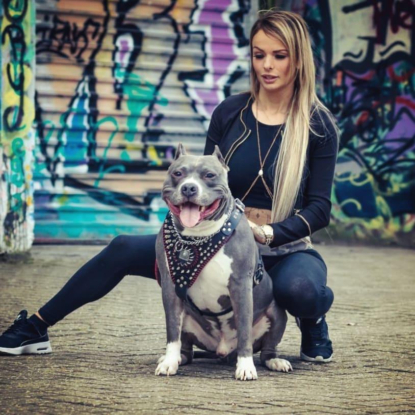Bestia David Hand-Stitched Leather Dog Harness