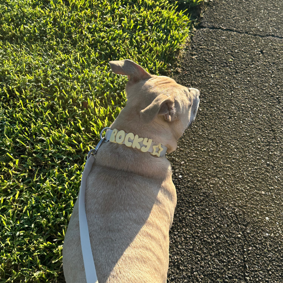 Waterproof Dog Leash - 5ft