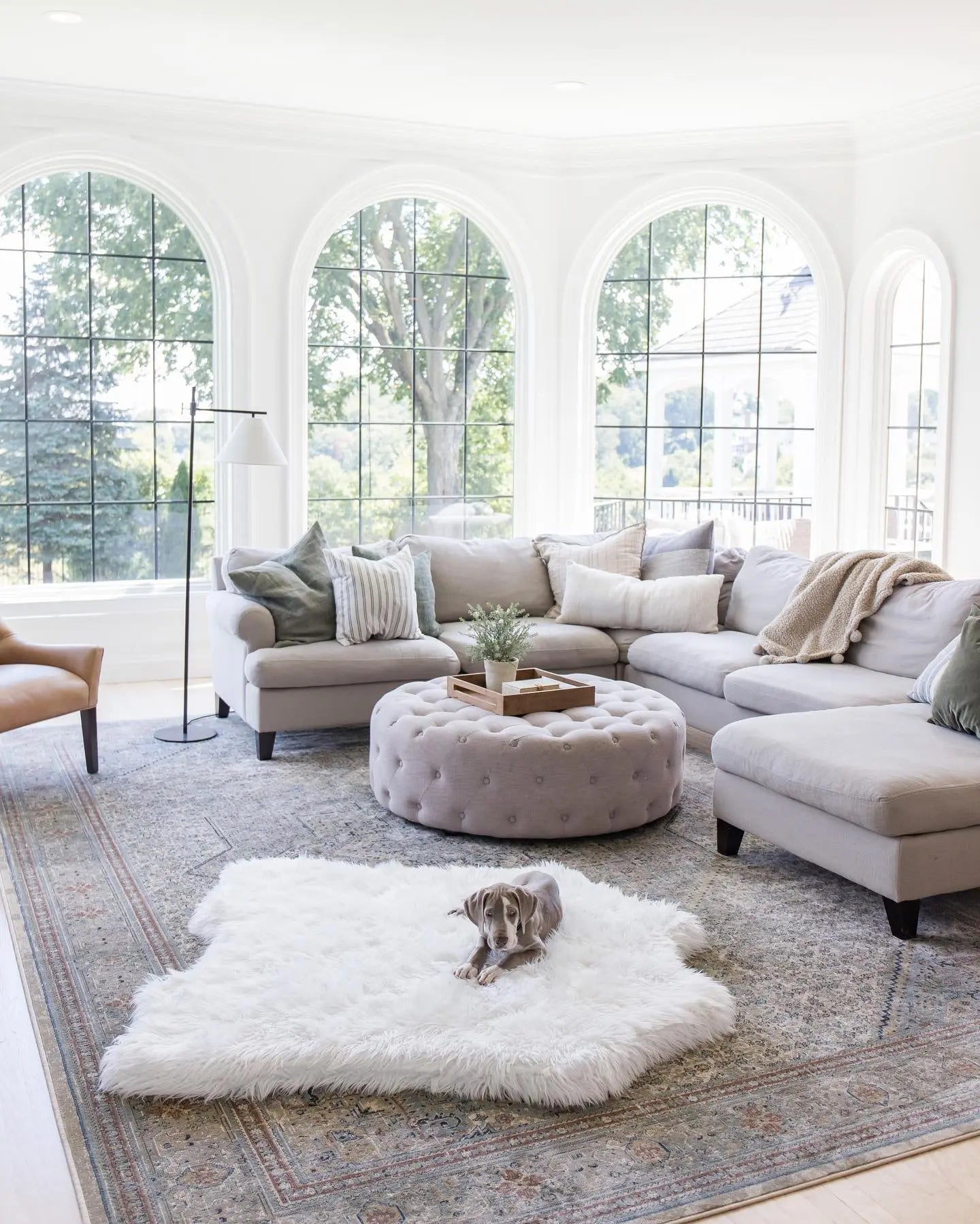 PupRug™ Animal Print Memory Foam Dog Bed - Polar Bear Faux Hide Paw.com