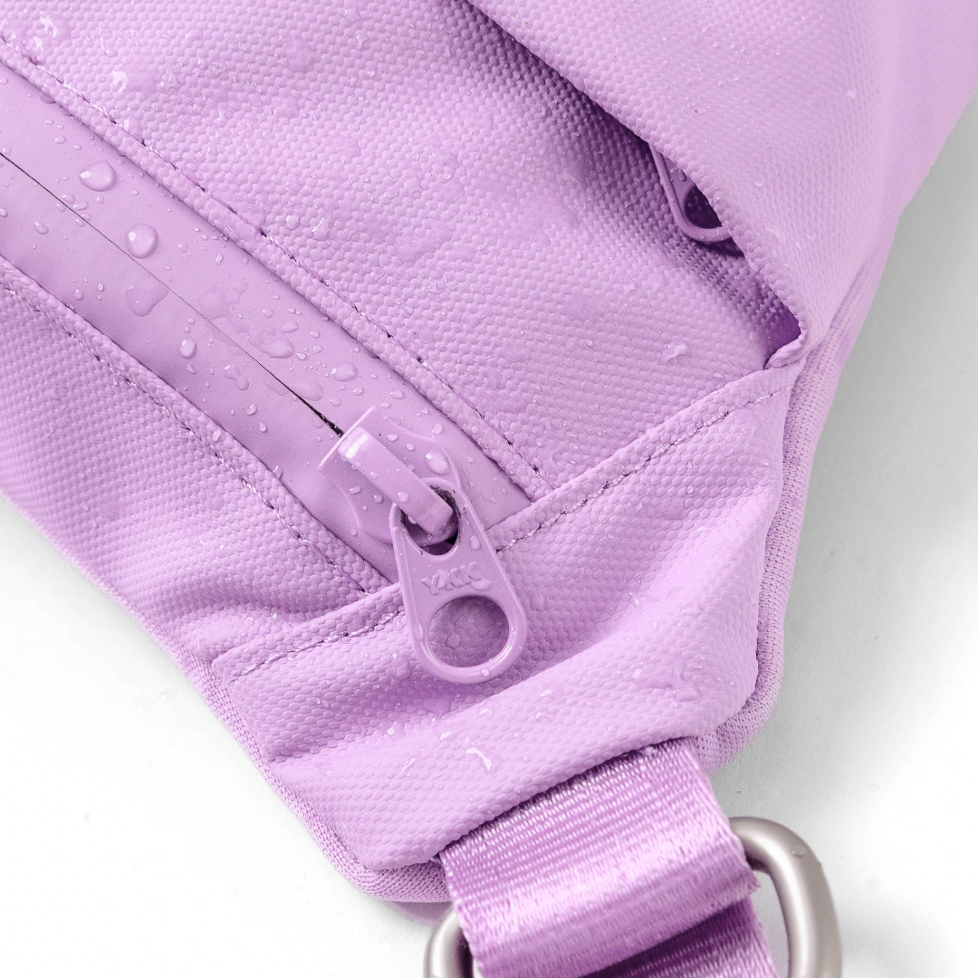 Hands-Free Dog Walking Bag