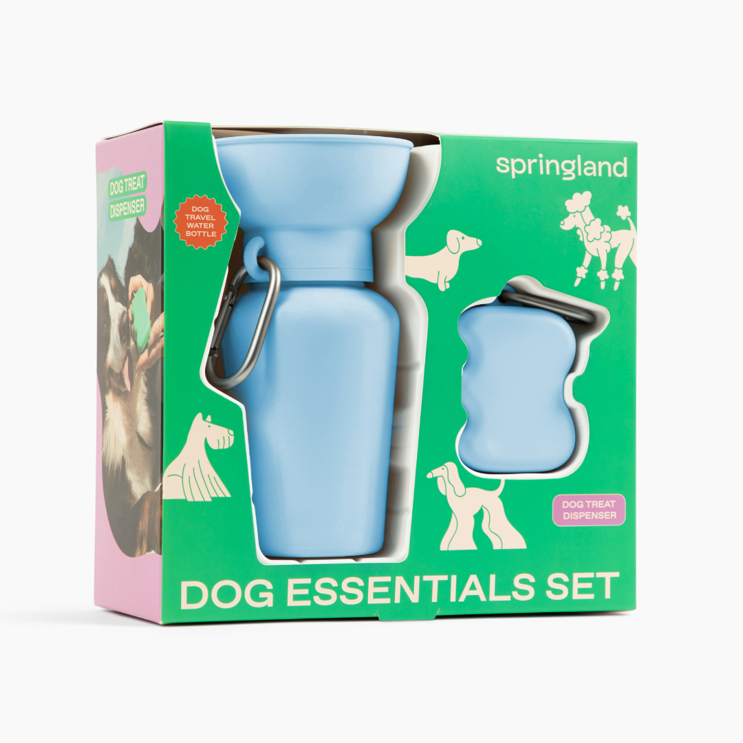 Dog Essentials Gift Box Set