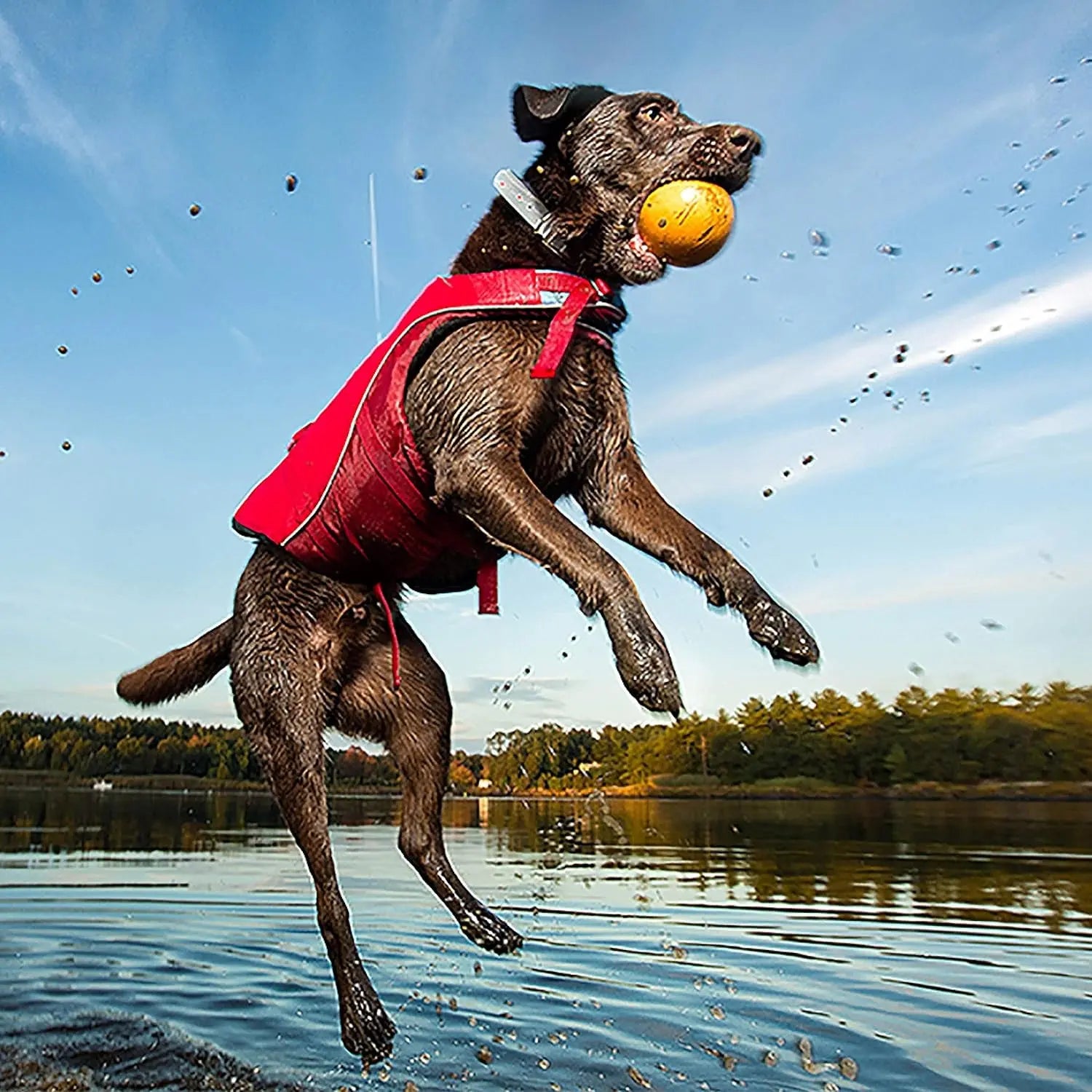 Surf N’ Turf Dog Life Jacket - Flotation Life Vest for Swimming and Boating