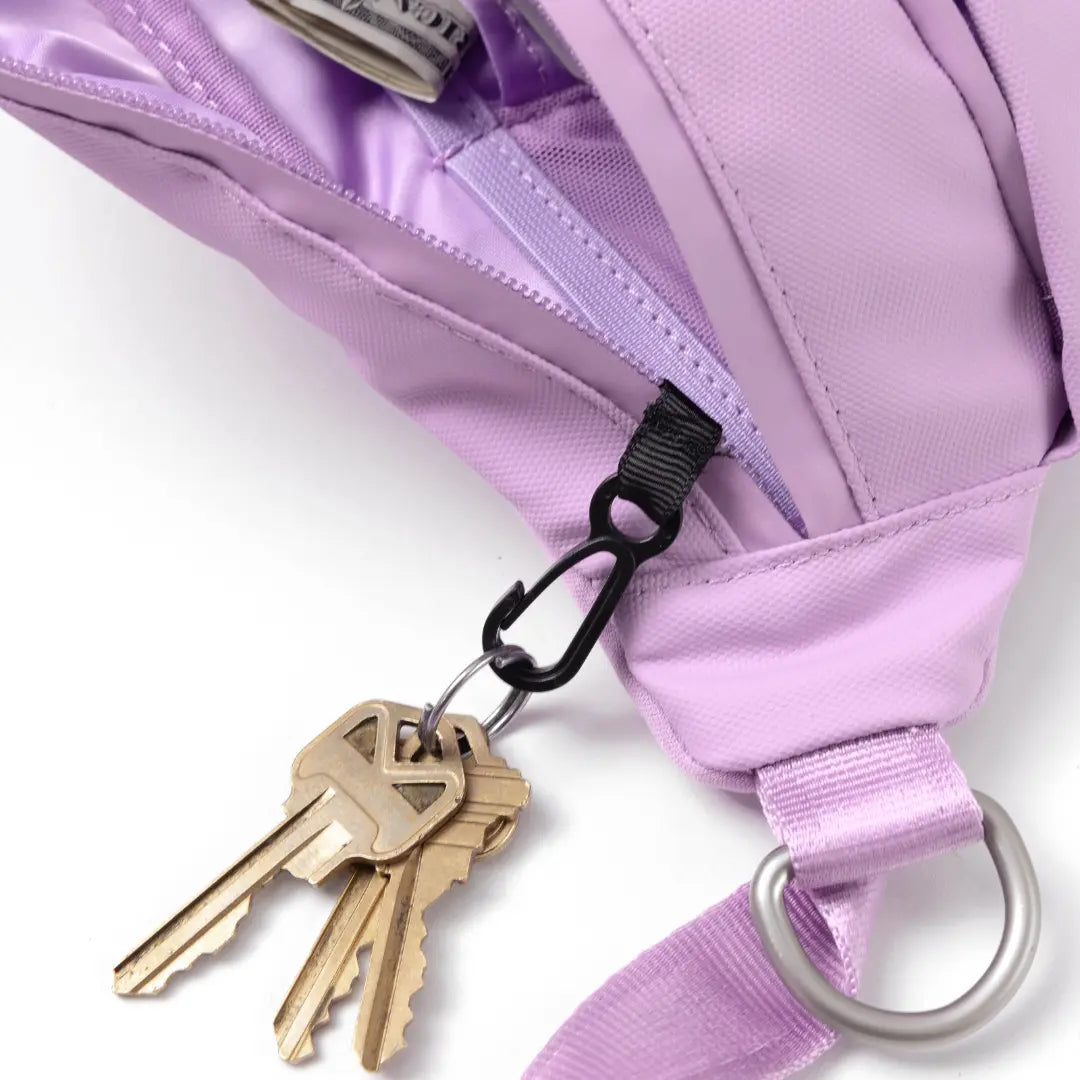 Hands-Free Dog Walking Bag