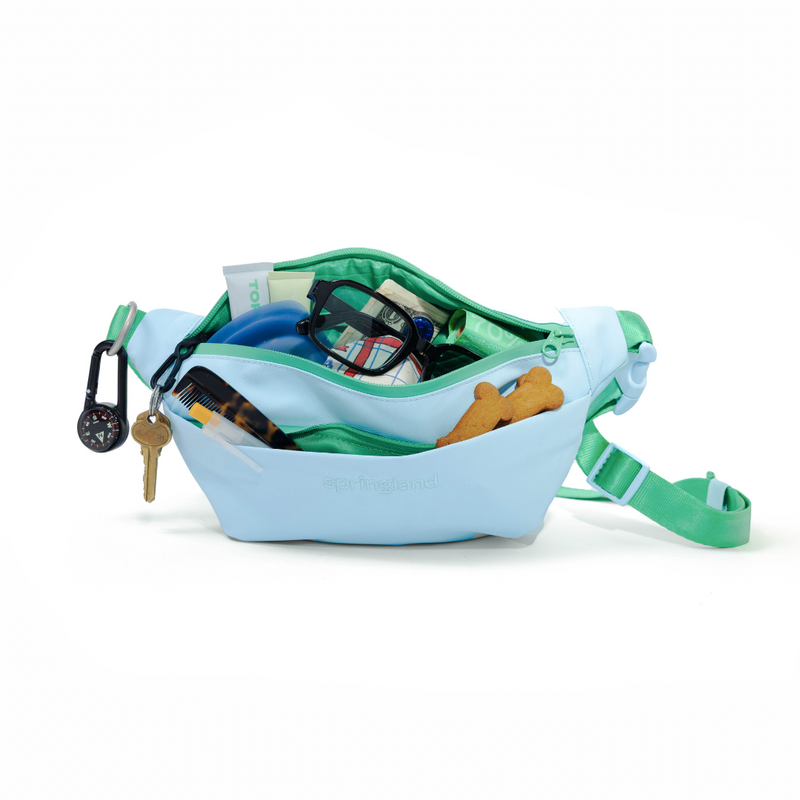 Hands-Free Dog Walking Bag