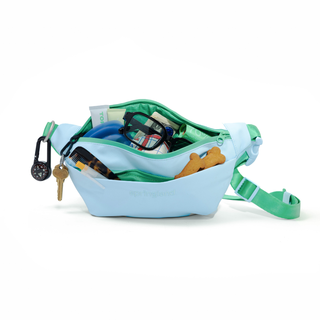 Hands-Free Dog Walking Bag with 4ft Leash