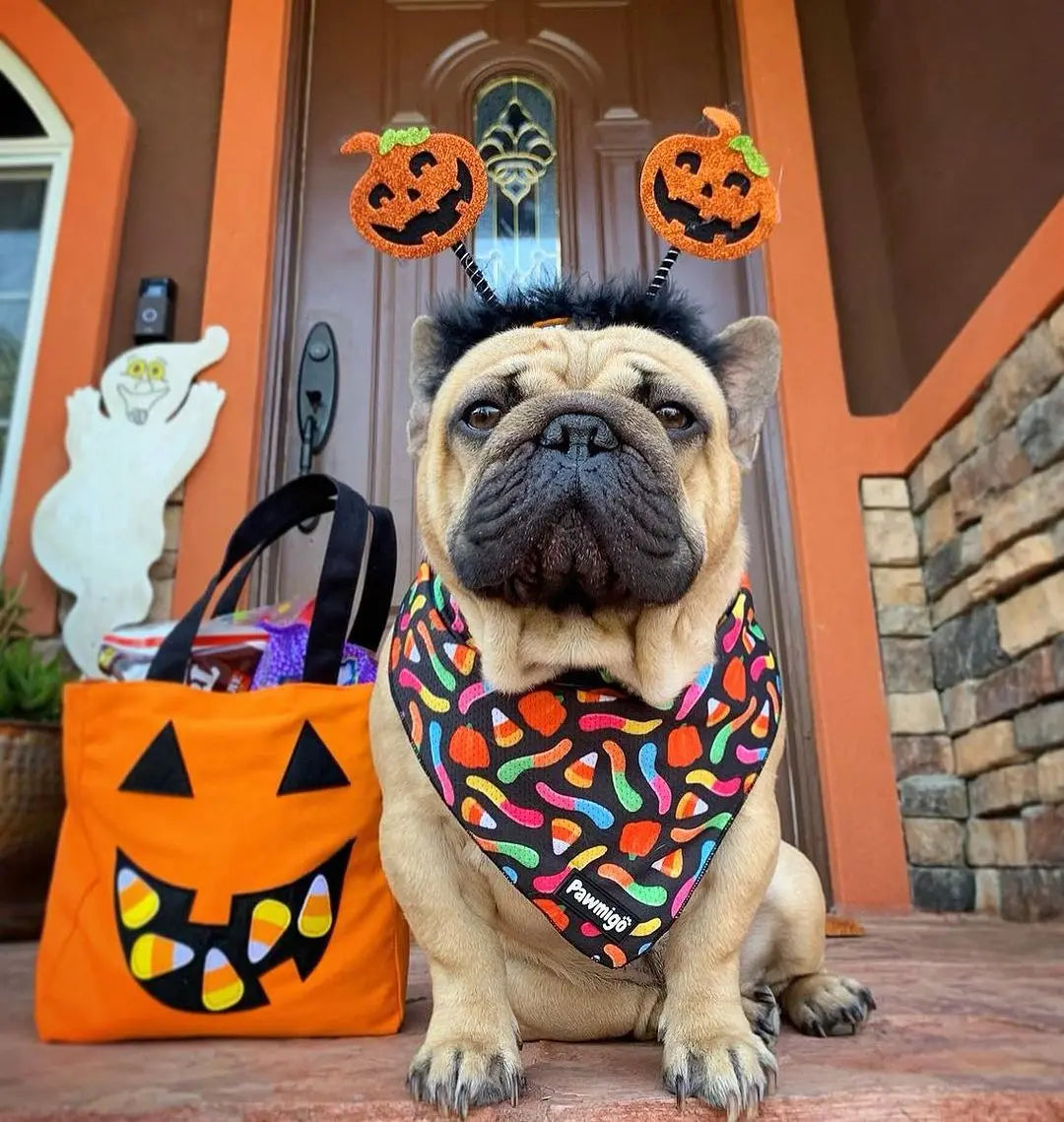 Trick N Treat Cooling Bandana Pawmigo