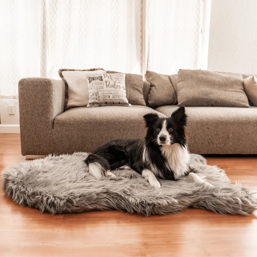 PupRug by Paw.com® Faux Fur Orthopedic Dog Bed - Curve Charcoal Grey Paw.com