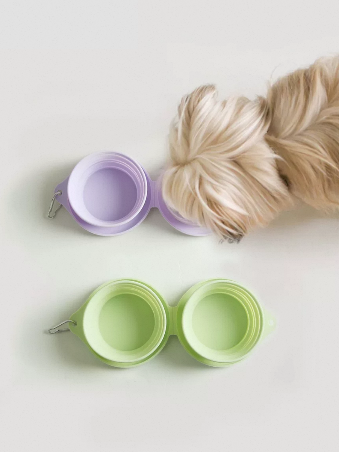 Milou & Lumi Foldable Pet Travel Bowl Dr. Milou