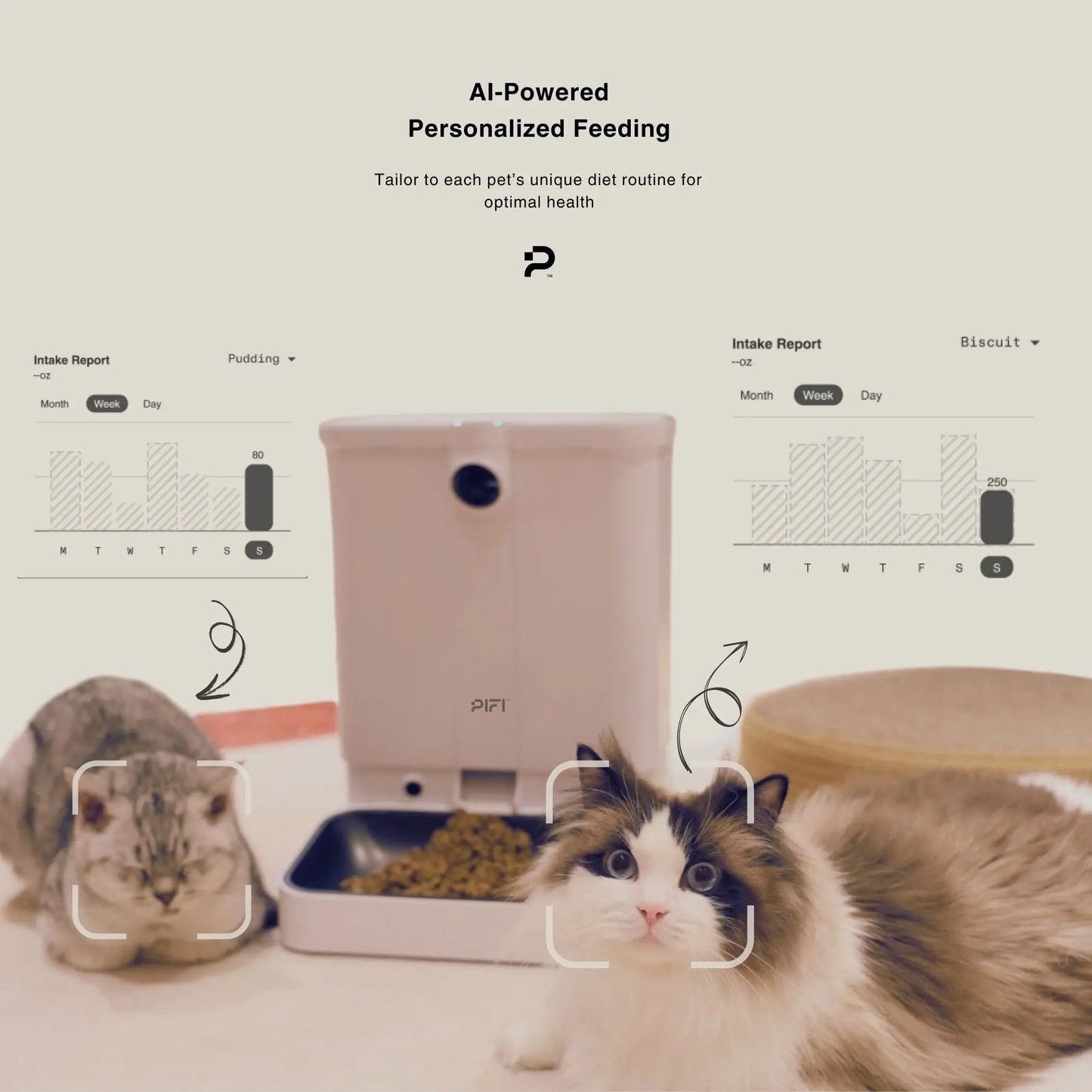 All-in-One Smart Pet Feeder PiFi