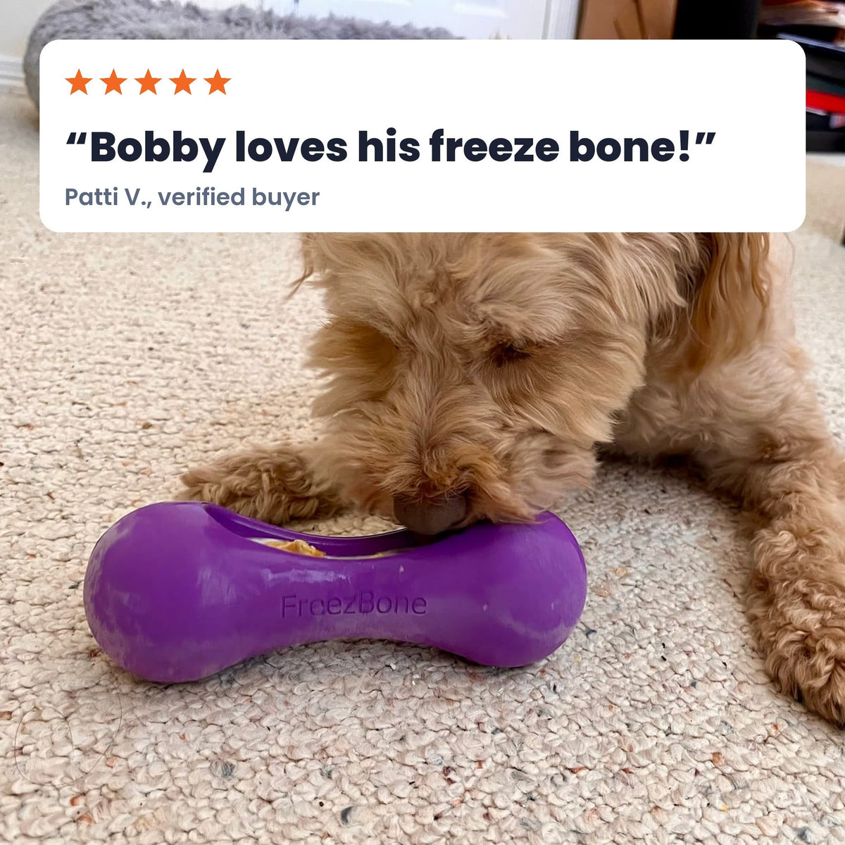 Freezstick - Indestructible Enrichment Chew