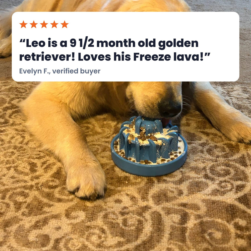 FreezLava Heavy-Duty Enrichment Chew