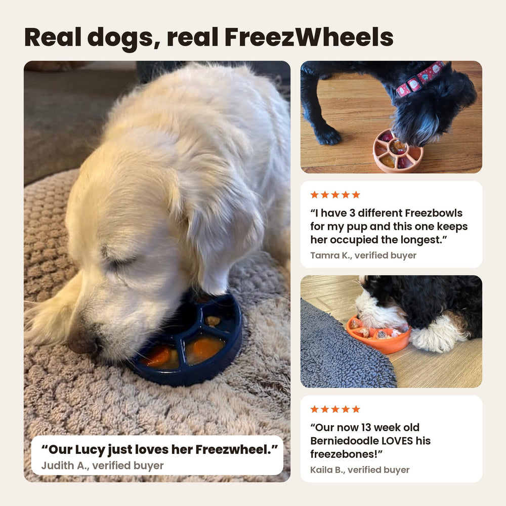 FreezWheel - Durable Interactive Chew