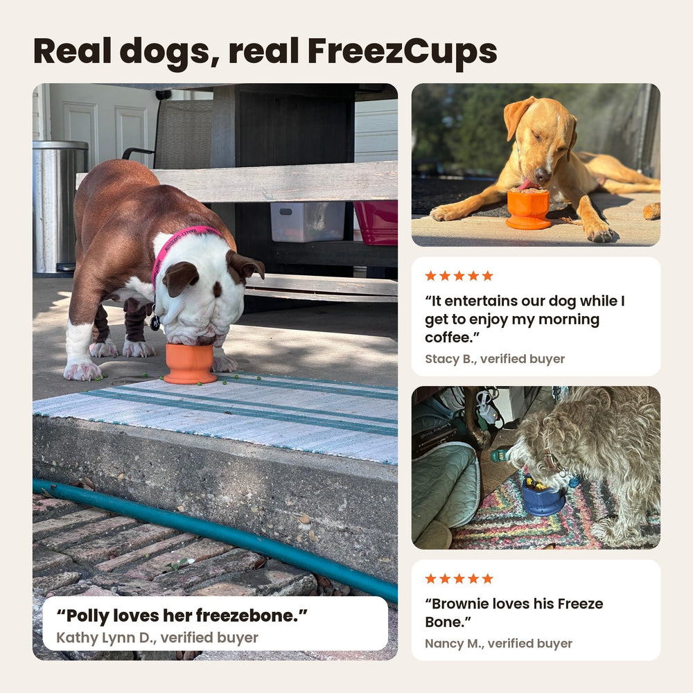 FreezCup - Long-Lasting Chew Fun